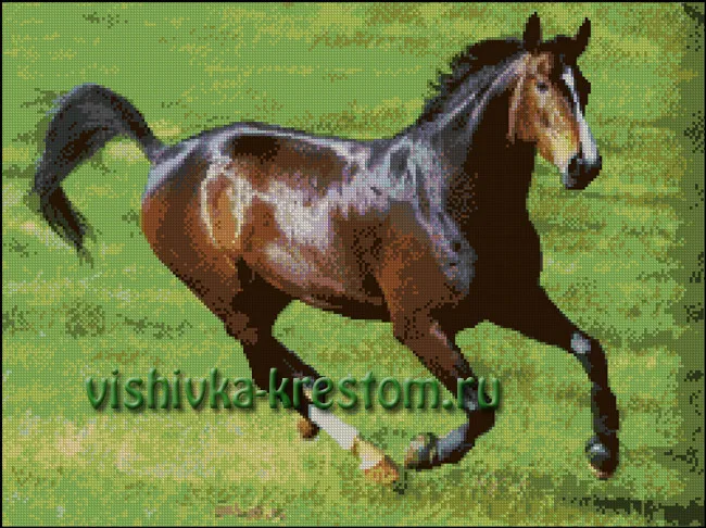 Конь