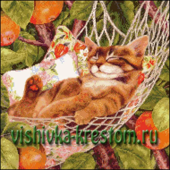 Кот в гамаке