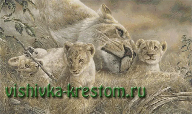 Мамина любовь
