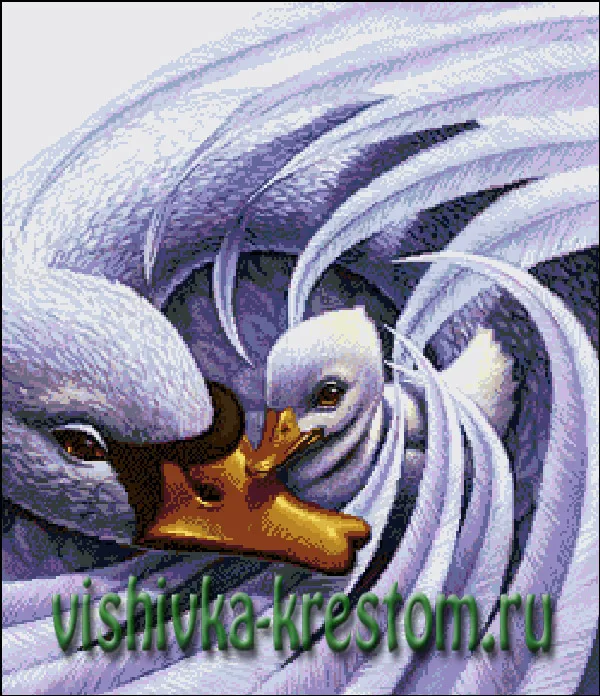 Нежность