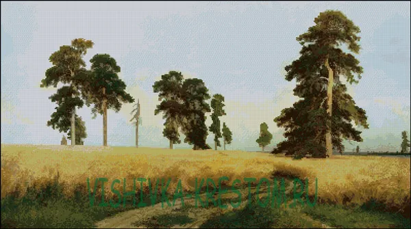 Рожь