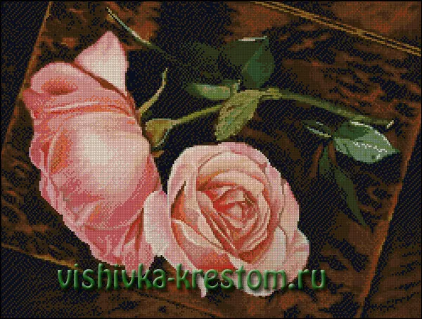 Розы