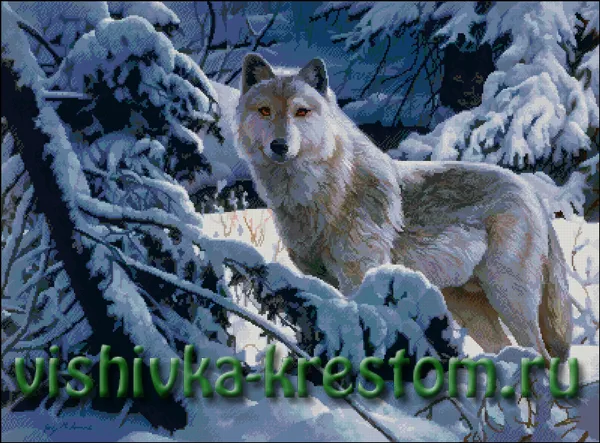 Волк